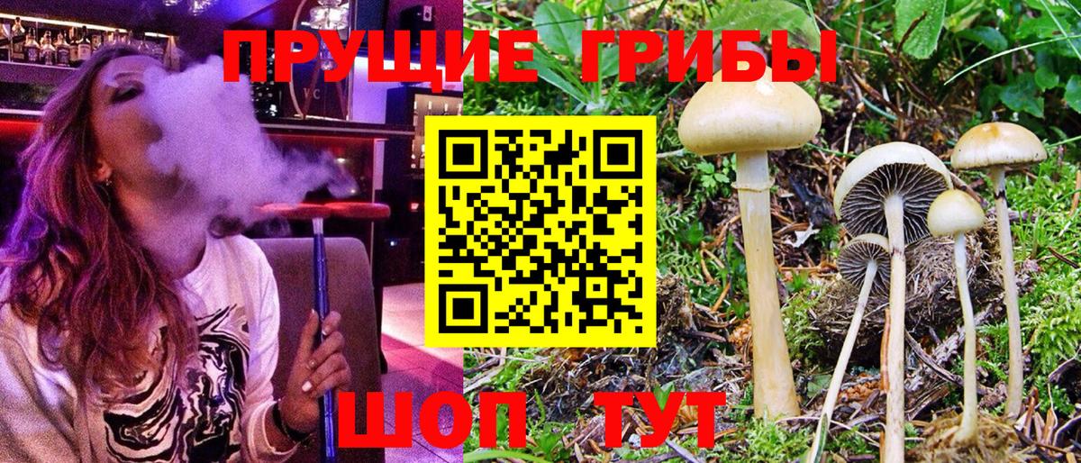 Назрань  Галлюциногенные грибы ЛСД  Вход с VPN 